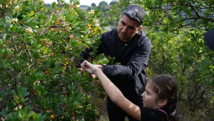 Ataşehir'de 438 metre yükseklikte çilek festivaline akın ettiler