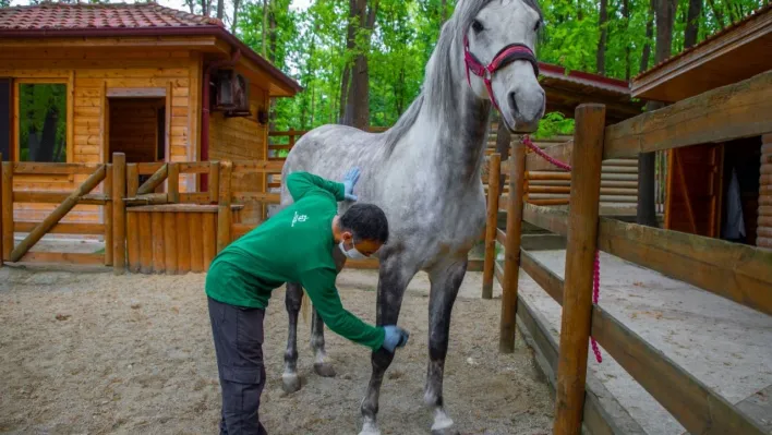 Avrupa'nın en büyük doğal yaşam parkı bayramda doğaseverler için hazırlandı