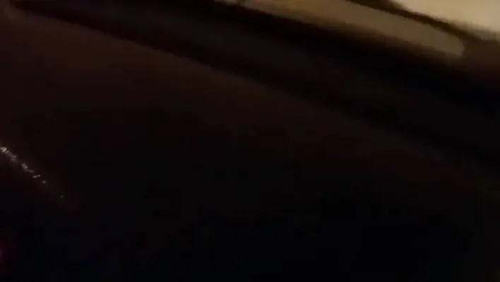 Ayı otomobilin önüne atladı, içindekilerin yüreği ağzına geldi