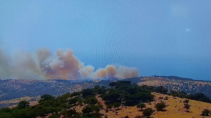Ayvacık'ta başlayan orman yanınına müdahale ediliyor