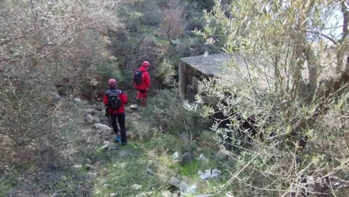 Ayvacık'ta kaybolan alzaymır hastası yaşlı adam ölü bulundu