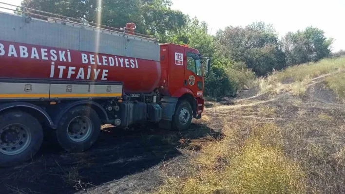 Babaeski'de 50 dönüm buğday tarlası yandı