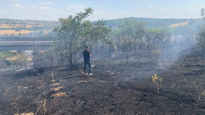Babaeski'de ağaçlık alanda çıkan yangın söndürüldü