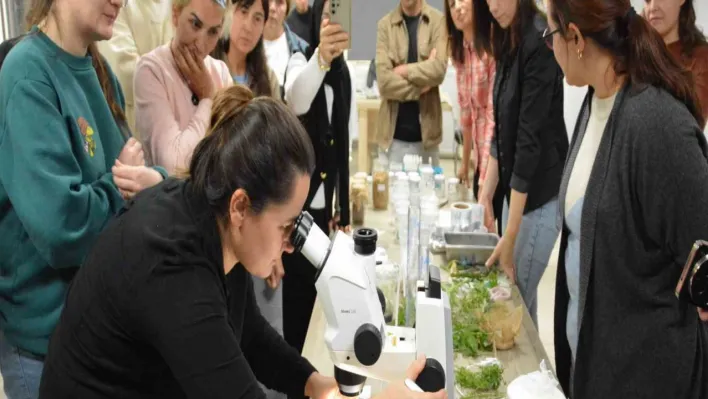 BAÇEM'de 5. Bitki Doku Kültürü kursu tamamlandı