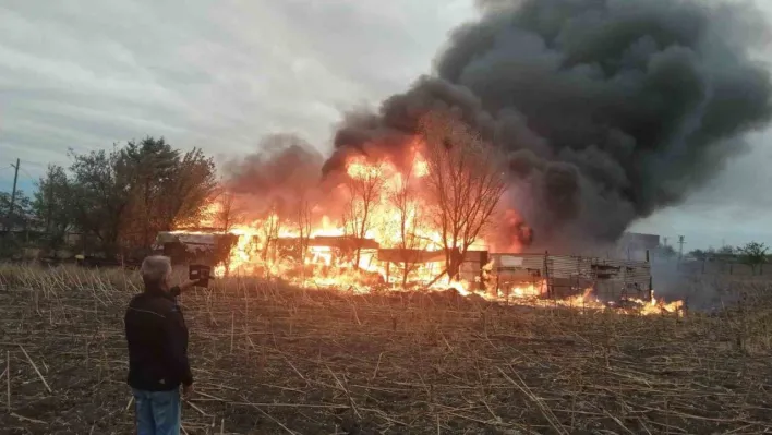 Bağ evi alev topuna döndü, dakikalar içinde kül oldu