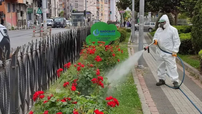 Bağcılar Belediyesi bitlerle mücadelesini sürdürüyor