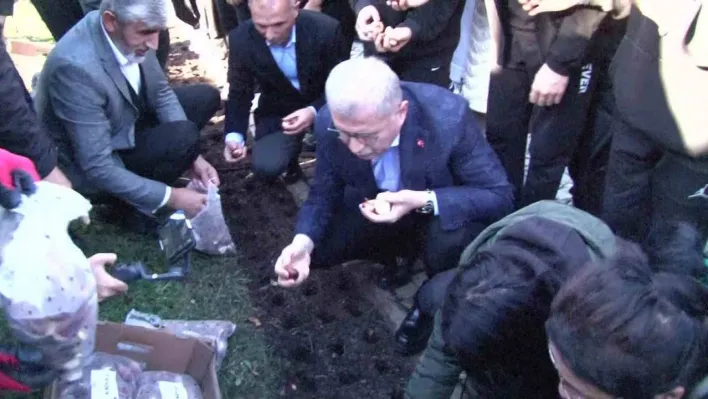 Baharı müjdeleyecek olan laleler, Üsküdar'da toprağa dikildi