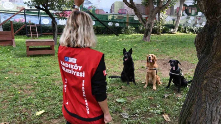 BAK-Kadıköy'ün yeni üyesi Coco