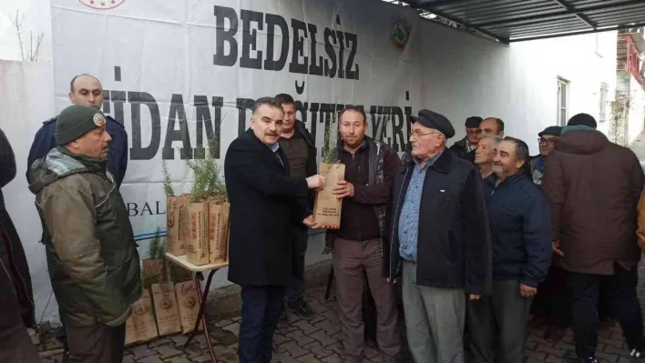 Bal ormanı projesine destek