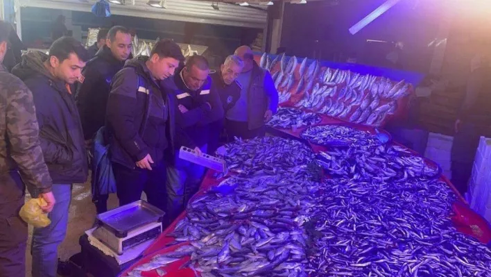 Balık satış yerlerine denetim yapıldı