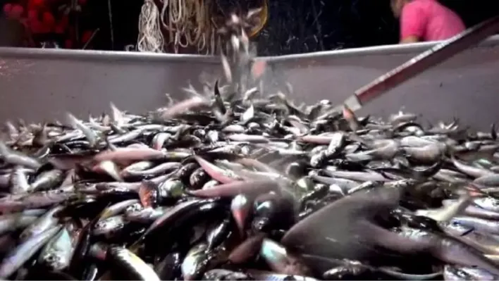 Balıkçılar 'Vira Bismillah' Demeye Hazırlanıyor