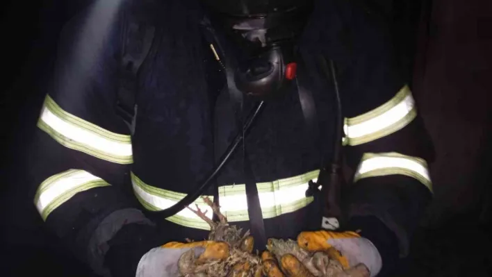 Balıkesir'de 5 bin piliç yangında telef oldu