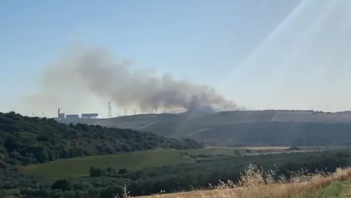 Balıkesir'de çıkan yangına havadan ve karadan müdahale ediliyor