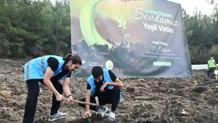 Balıkesir'de gençler 'Yeşil Vatan' için buluştu
