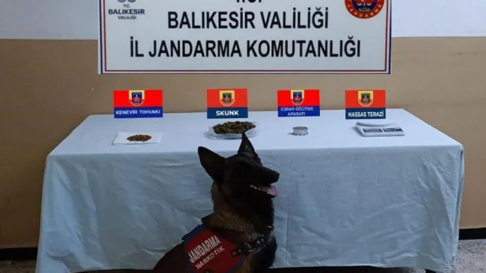 Balıkesir'de jandarmadan 48 şahsa uyuşturucu operasyonu