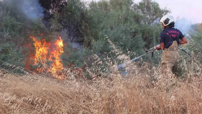 Balıkesir'de karganın neden olduğu anız yangını korkuttu