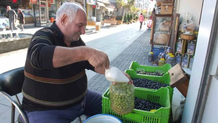 Balıkesir'de kırma zeytin hazırlanmasına başlandı