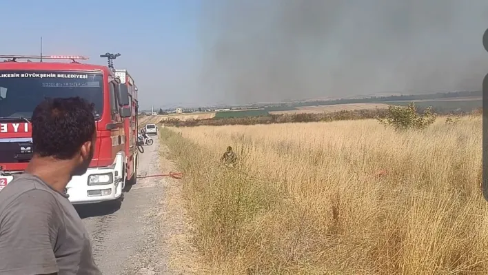 Balıkesir'de mera yangını