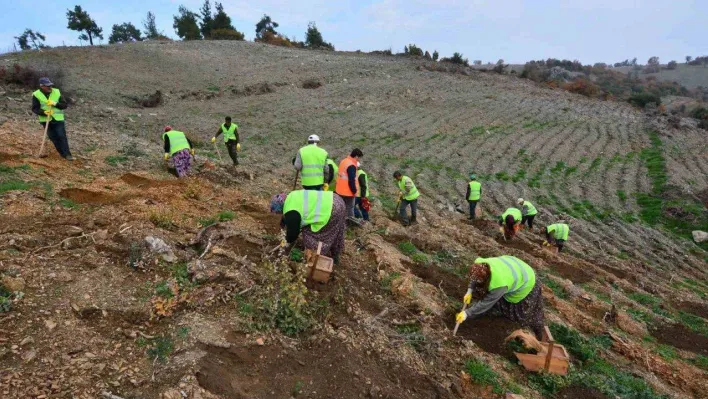 Balıkesir'de orman köylüsü bildiği işle kalkındırılıyor