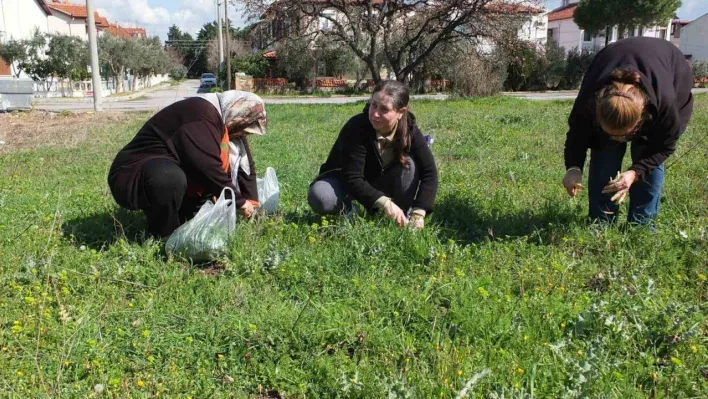 Balıkesir'de ot festivali düzenlenmesi istediler