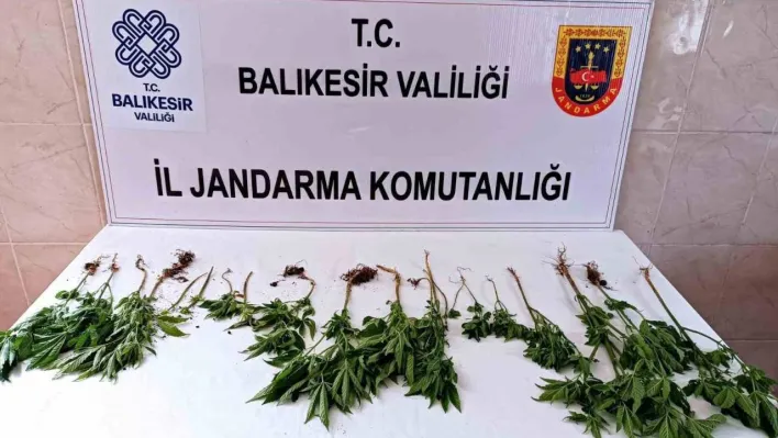 Balıkesir'de uyuşturucu operasyonunda iki kişi yakalandı