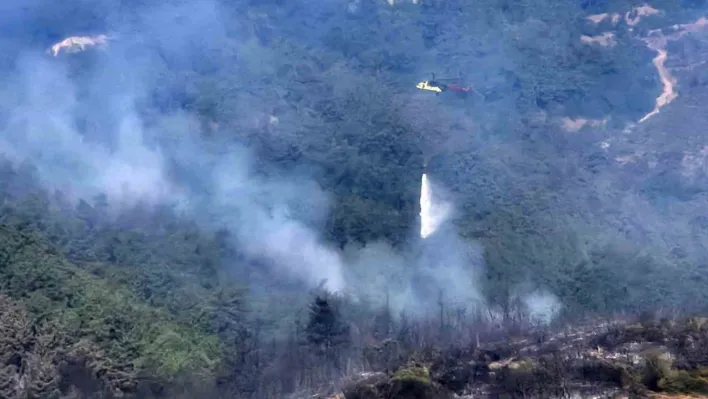 Balıkesir'deki orman yangınına havadan müdahale tekrar başladı