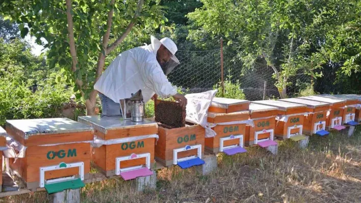 Balıkesir'in Bal şehri olduğu tescillendi