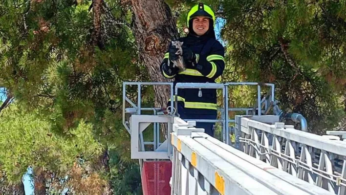 Balıkesir itfaiyesinden kedi kurtarma operasyonu