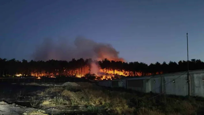 Balıkesir Savaştepe'de çıkan orman yangınına müdahale sürüyor