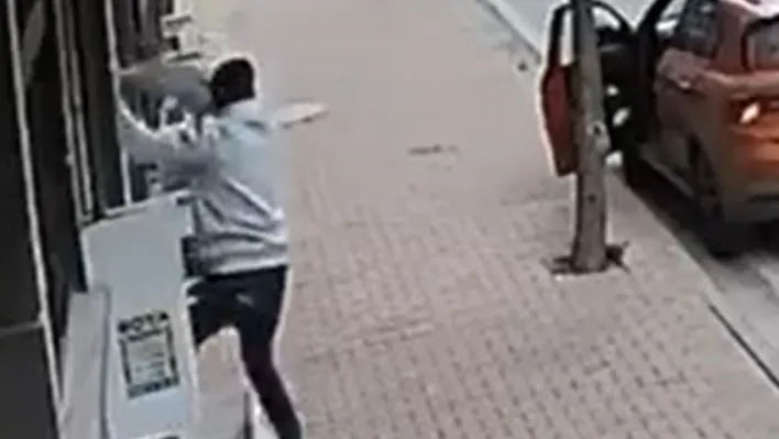 Balkona tırmanıp cins kediyi çaldı