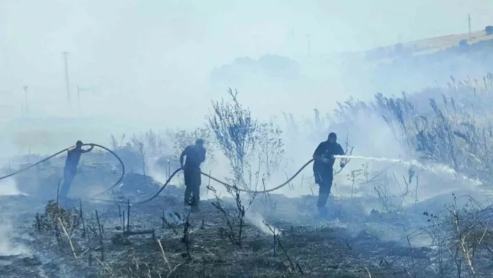 Bandırma-Bursa karayolunda arazi yangını kontrol altına alındı