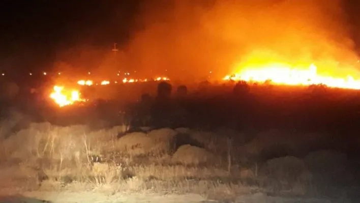 Bandırma'da park halindeki araçta çıkan yangın ormanlık alana sıçradı