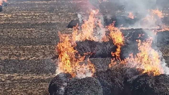 Bandırma'da tarla yangını