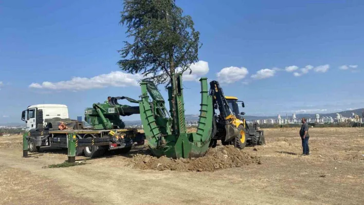 Başkan Aktaş'tan Hamitler'e Botanik Parkı müjdesi