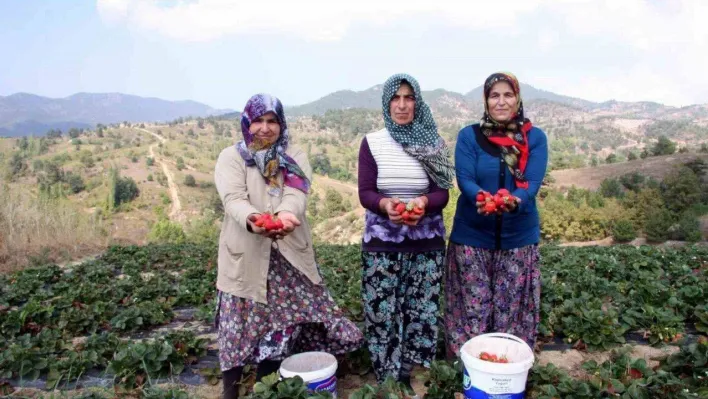 Başkan Aykurt: 'Kırsalda üretim yapan vatandaşlarımızın sigorta primleri devletimiz tarafından karşılanmalıdır'