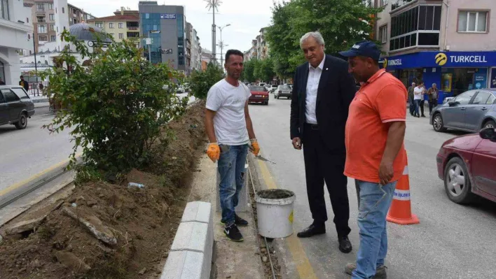 Başkan Bakkalcıoğlu çalışmaları inceledi