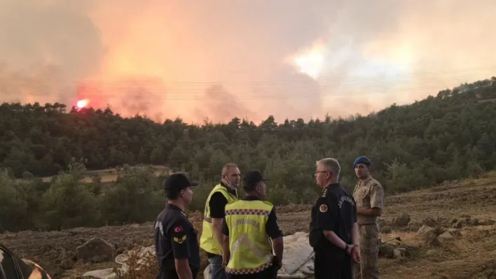Başkan Dilsiz'den Osmaneli'ndeki yangınına ilişkin açıklama
