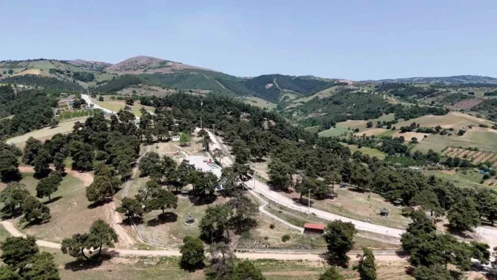 Başkan Ercan Özel: 'Gönül rahatlığıyla Kozdere Çamlığı'nda piknik yapılabilir