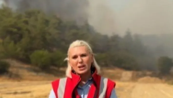 Başkan Subaşı yangın bölgesinde