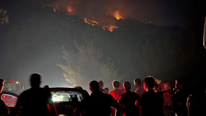 Başkan Yıldırım, yangın bölgesinde incelemeler yaptı