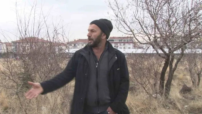 Başkent'te başıboş köpek dehşeti