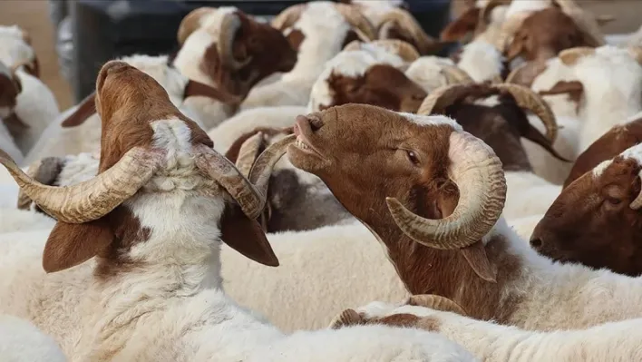 Bayram tatili bu yıl uzatılmadı
