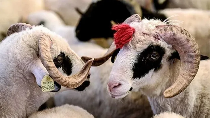Bayram tatili bu yıl uzatılmadı