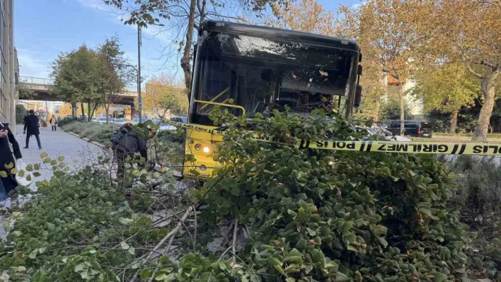 Beşiktaş'ta İETT şoförü seyir halindeyken kalp krizi geçirdi