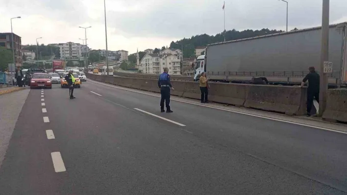 Beton bariyerlere sıkışan kedi için trafiği durdurdular: 'Helal olsun size'