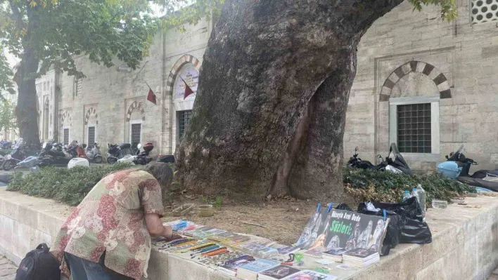 Beyazıt Meydanı'nın çınarı Hüseyin Avni Dede: 58 yıldır adının verildiği ağacın altında