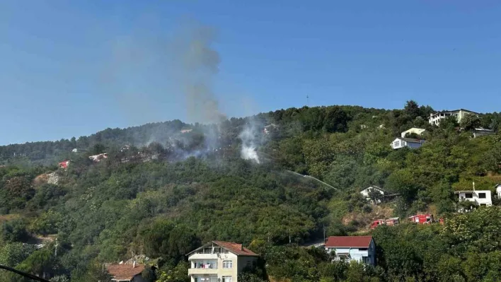 Beykoz'da ormanlık alanda çıkan yangın söndürüldü