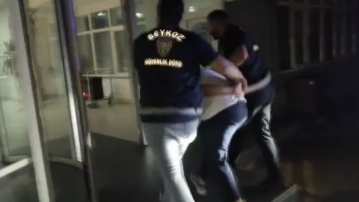 Beykoz'daki yangını çıkardığı iddia edilen kişi yakalandı: 'Eğlenmek için fişek attım' dedi