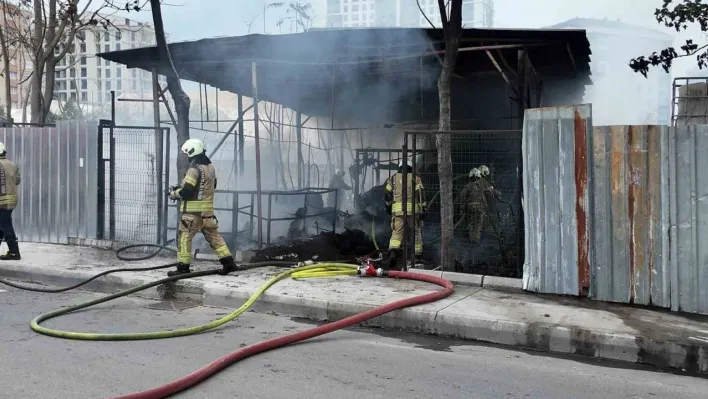 Beylikdüzü'nde boş kulübe alev alev yandı