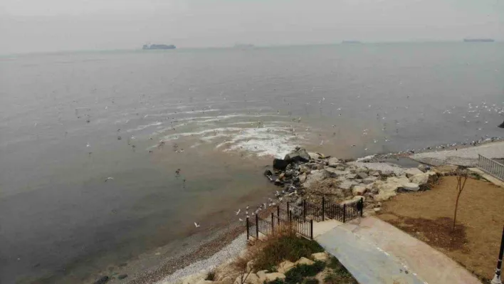 Beylikdüzü'nde kanalizasyon sularının denize aktığı yerde, deniz kahverengi döndü